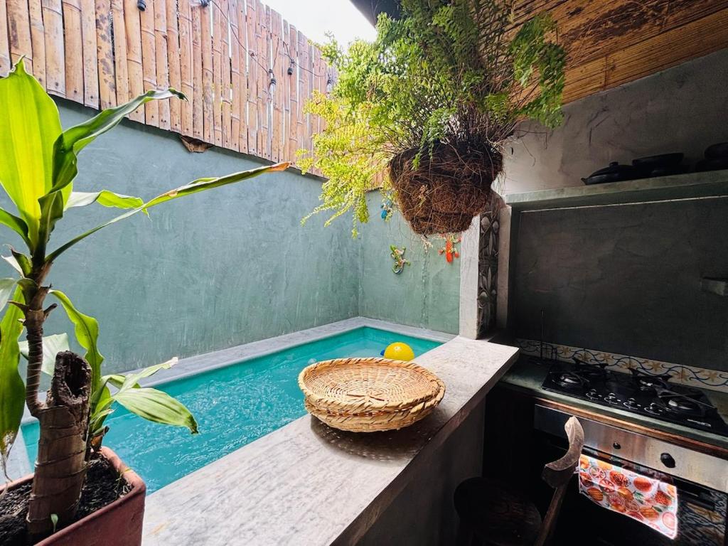 Casa Olivia - 2