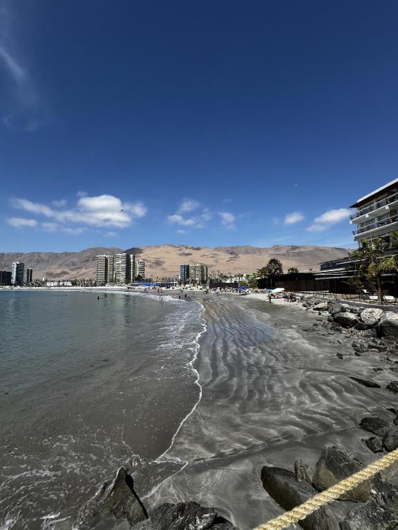 Vista Panoramica a Pasos de Playa Brava Con Piscina y Estacionamiento Techado - 3