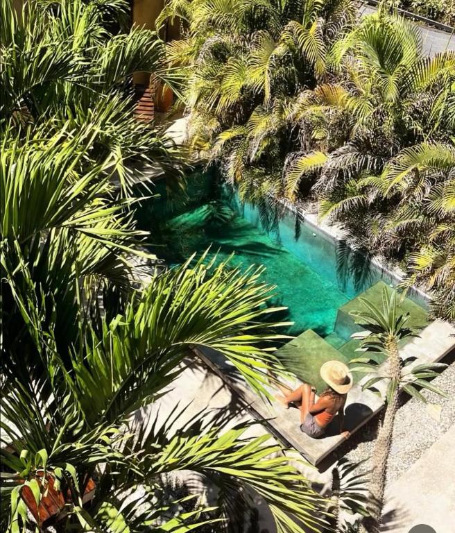 Casa Maloya alberca y vista al mar - 4