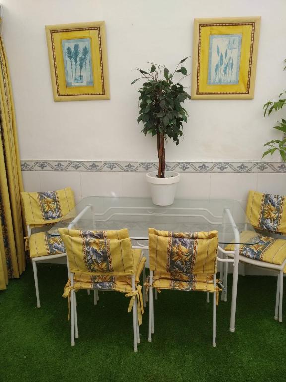 Habitación Teatinos Pilar planta baja - 1