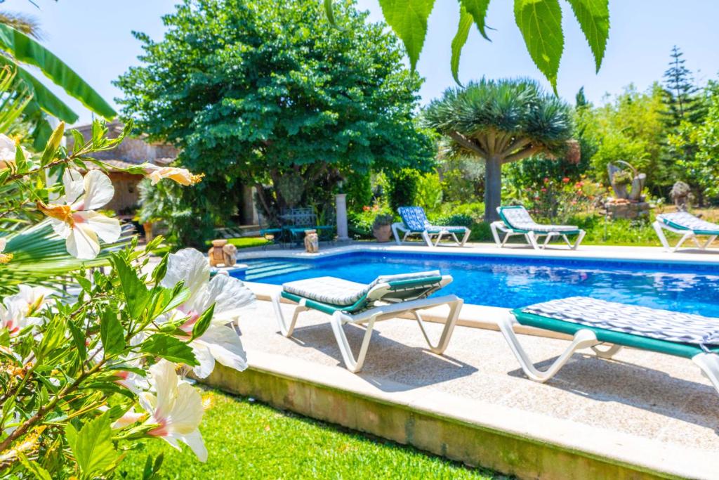 Sunny villa with private pool, AC and WIFI - 5