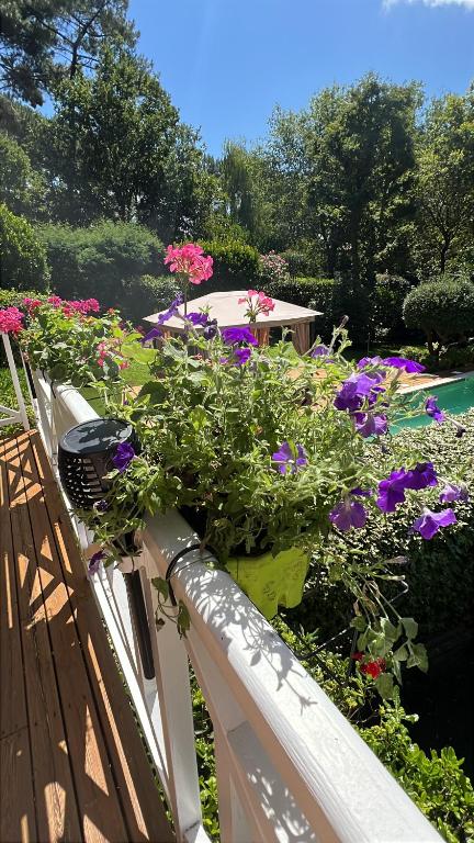 Villa Prestige 5 étoiles Piscine Biscarrosse Lac Golf - 2