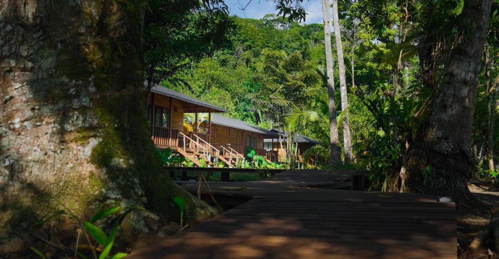 Black Sands Lodge - 4