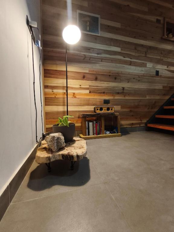 Tiny house en medio del bosque nativo - 1