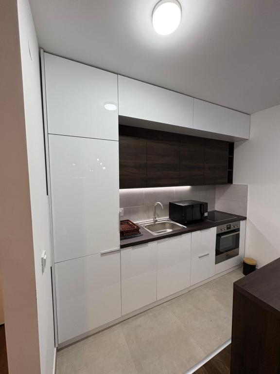 Tesla Residence - 4