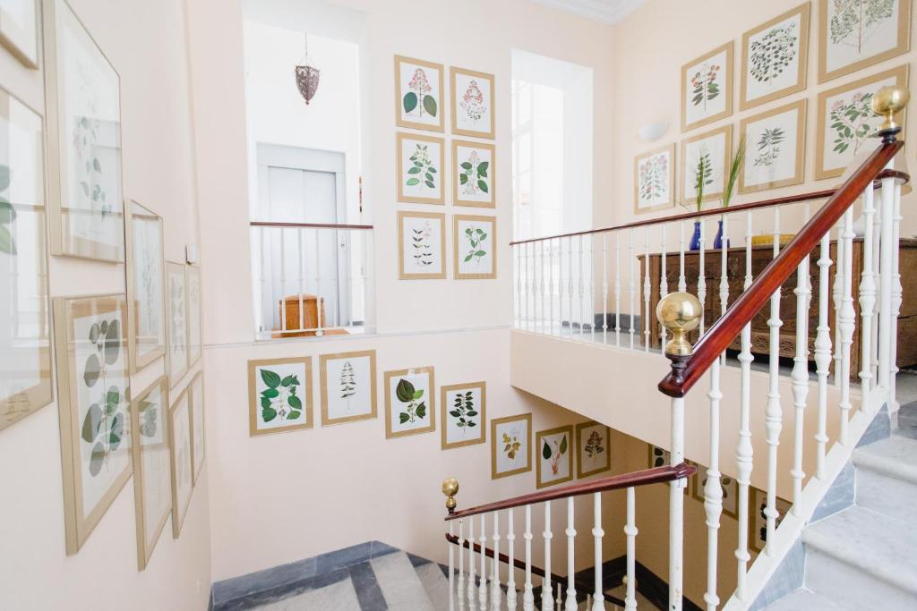 Duplex de la Botánica de Cádiz - 5