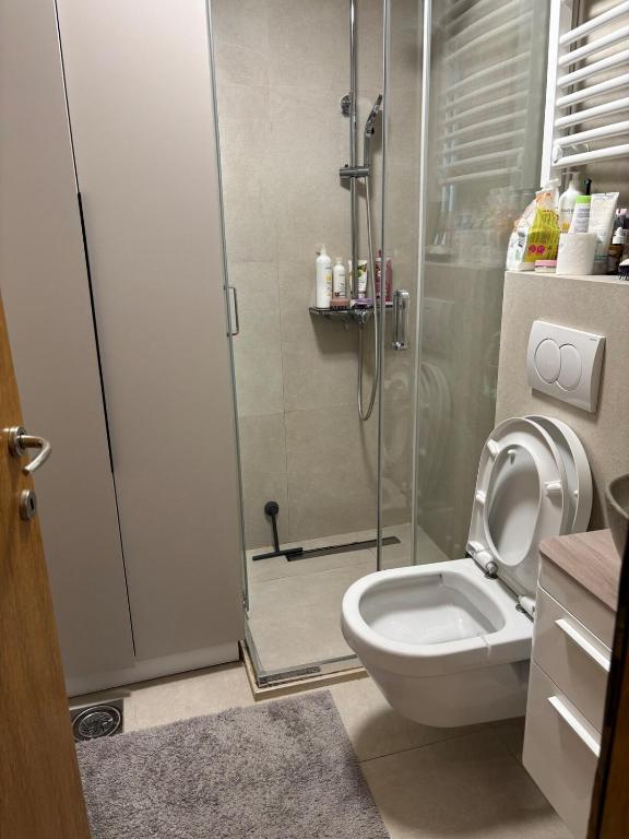 Modern apartment plus FREE parking , near city center, shopping center Big and city quarter - 3