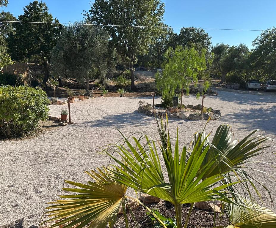 Trulli Oiseaux Migrateurs - 3