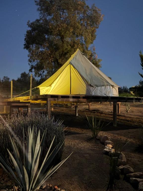 Cosmo Glamping - 2