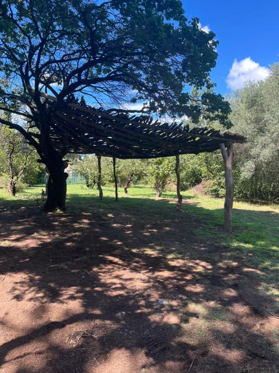 Hospedaje San Javier - 5