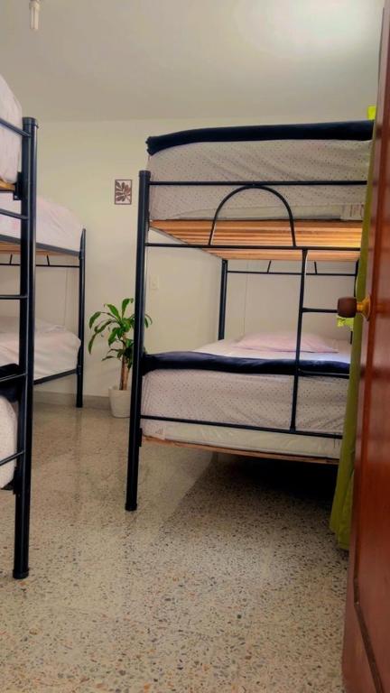 Abba Hostal - 4