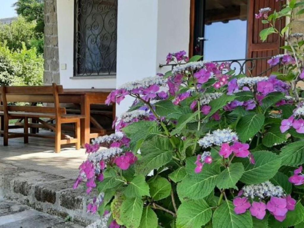 Apartment Villa Garden am See by Interhome - 2