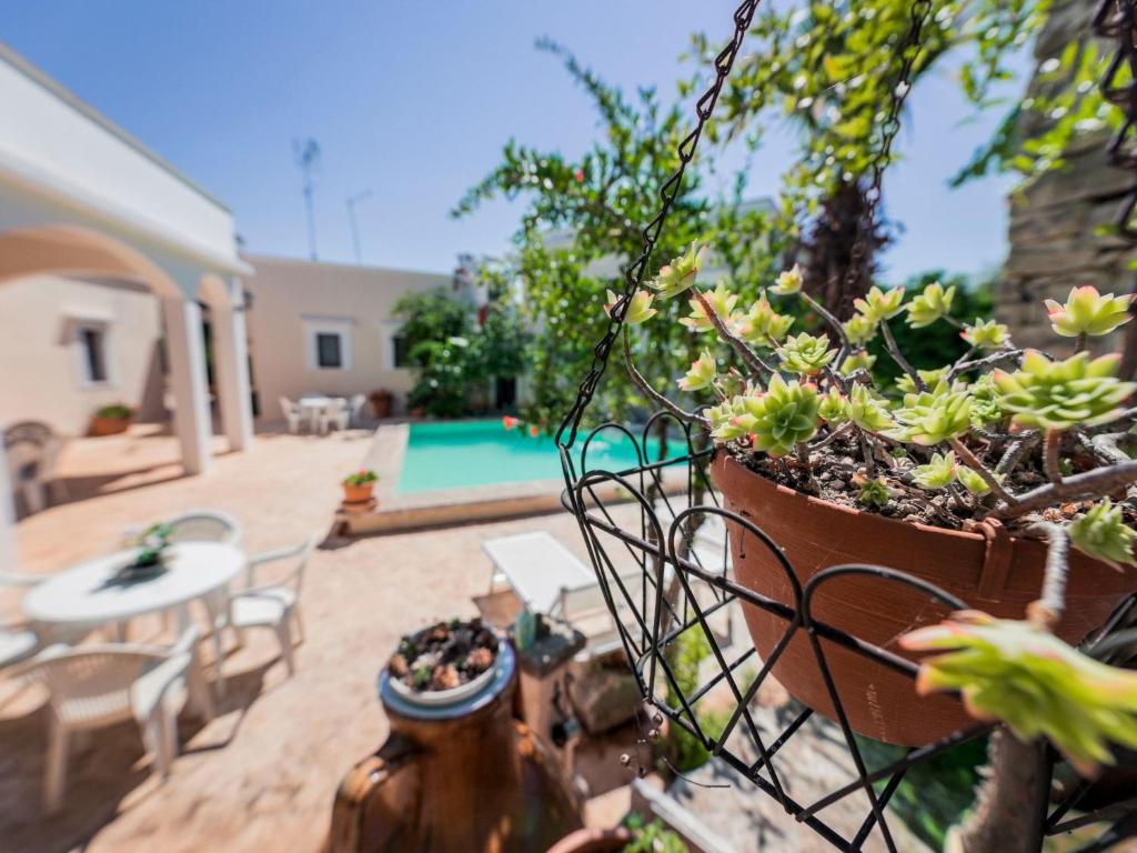 Apartment Casal del Borgo 6 by Interhome - 1
