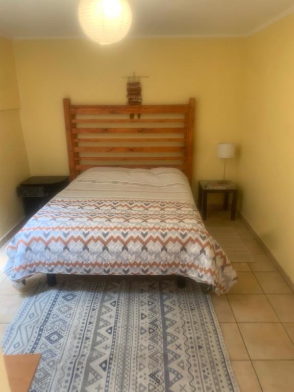Hostal CacTus - 5
