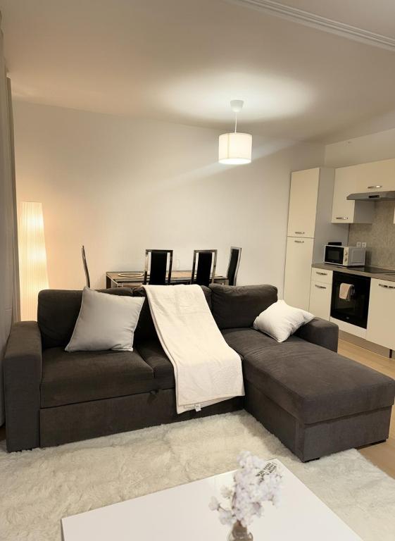 Appartement Cosy au cœur de Mulhouse - 4