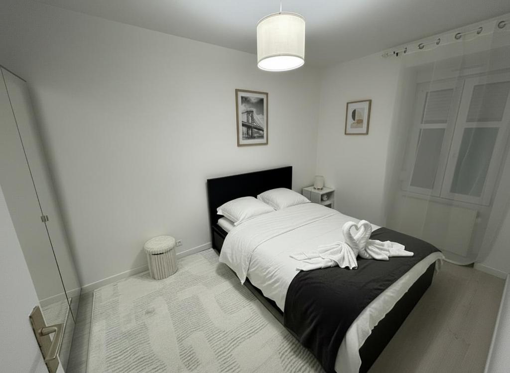 Appartement Cosy au cœur de Mulhouse - 2