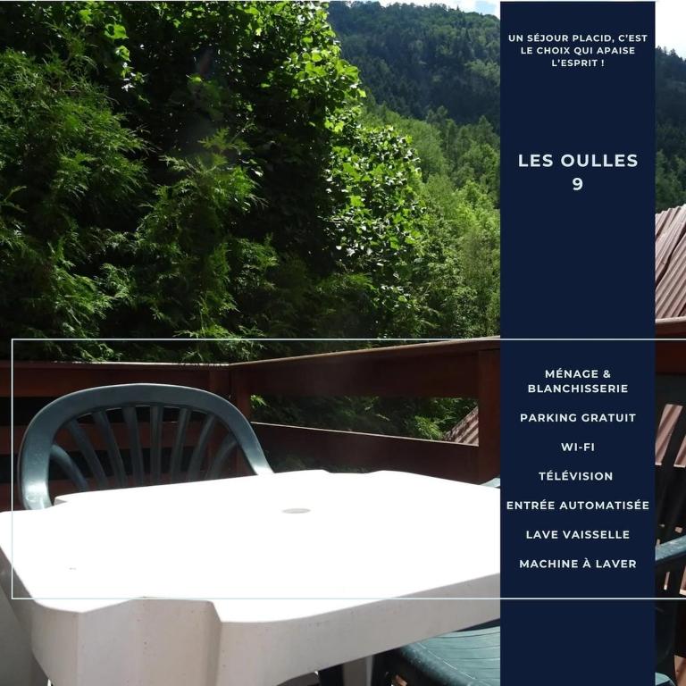 Les Oulles 9 - WIFI - Piscine - Terrasse - 1
