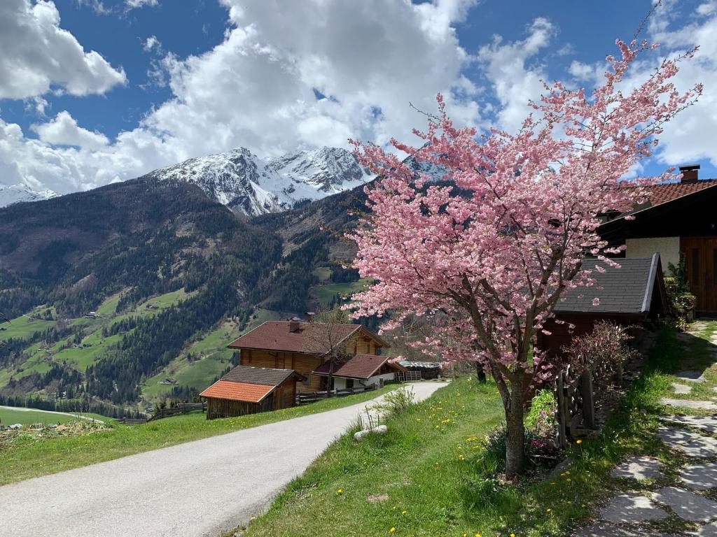 Haus RuHe - 4