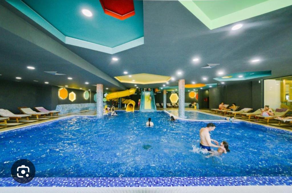 Kraljevi Čardaci - Despot Apartman - 5
