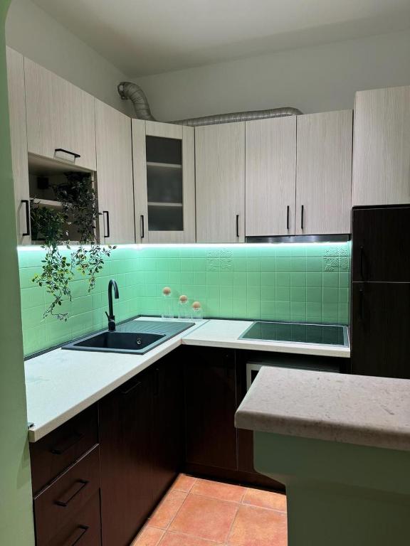Blue Sea apartment Petrovac - 5