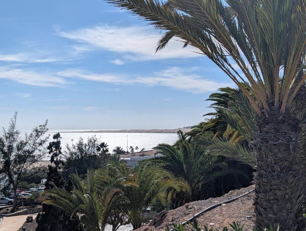 Ocean views cute apartment San Agustin, Gran Canaria - 3