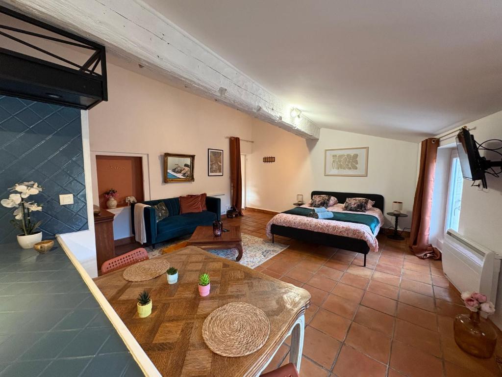 Studio Provençal au centre-ville de Vienne - 1