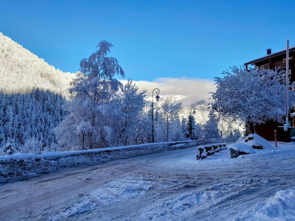 Magnifique studio au pied du télécabine d'Arrondaz et des pistes de ski - 2