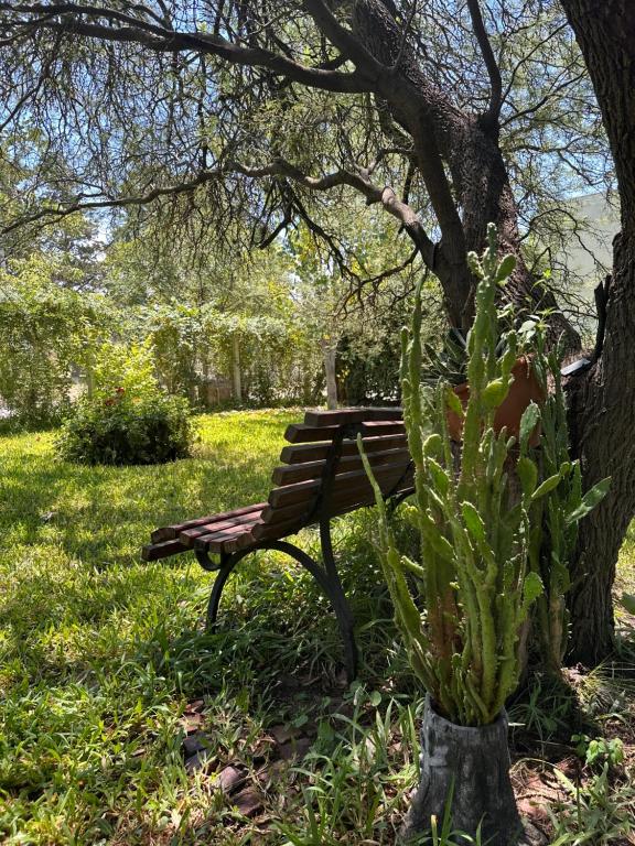 El Rincón de los Pájaros - 3