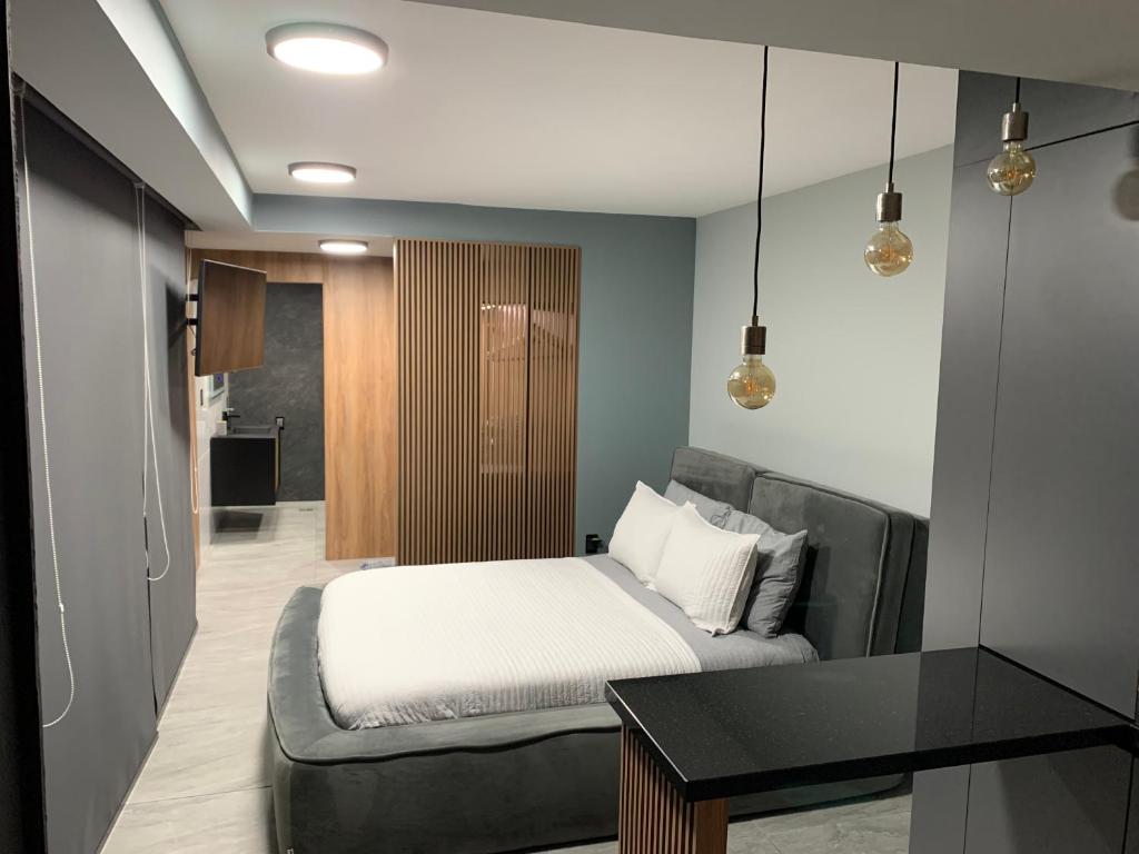 Suite acogedor - 4