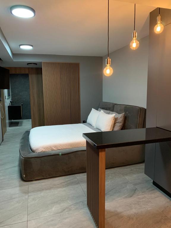 Suite acogedor - 1