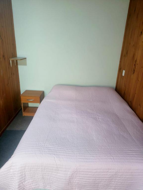 APARTAMENTO Independiente a 2 cuadras del centro de Temuco!! - 5