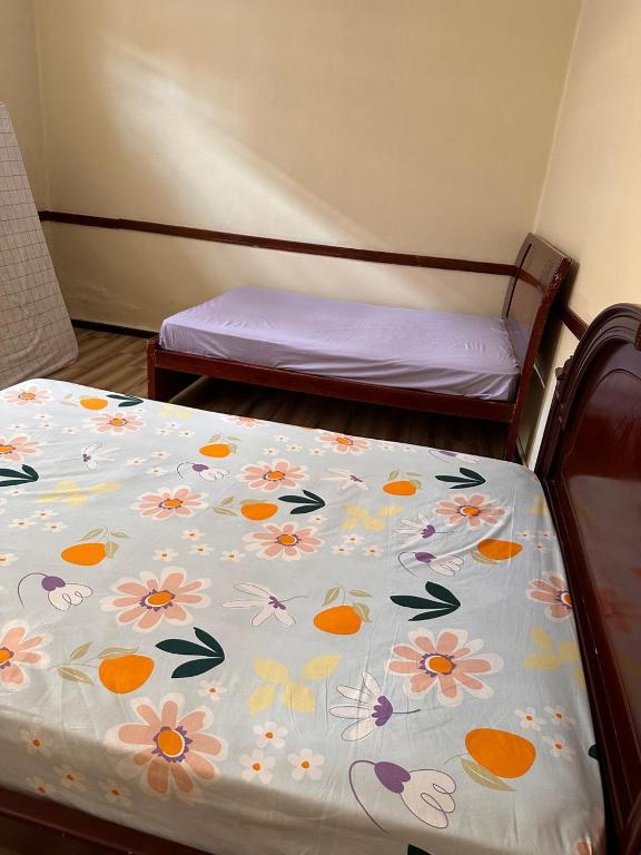 Albergue Happy Backpacker - 5