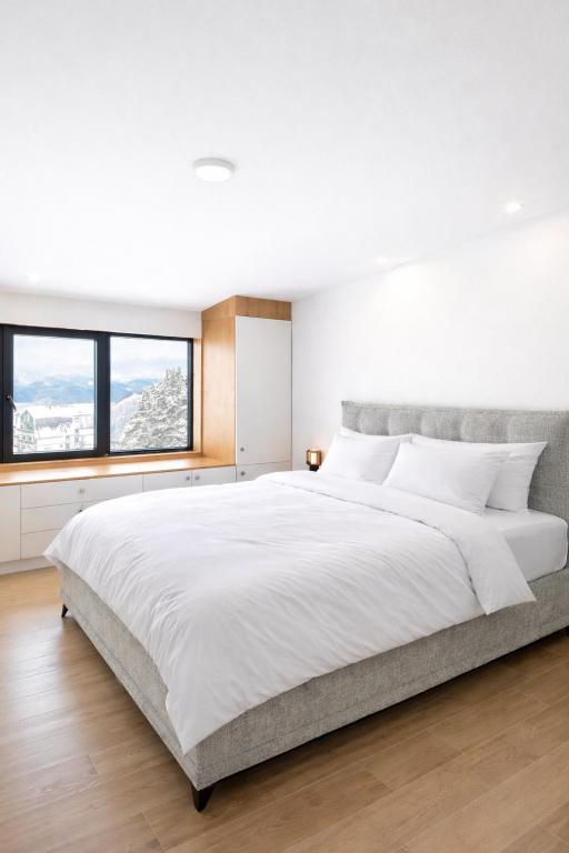 Apartman Monte - Ressidence Hill, Kopaonik - 3