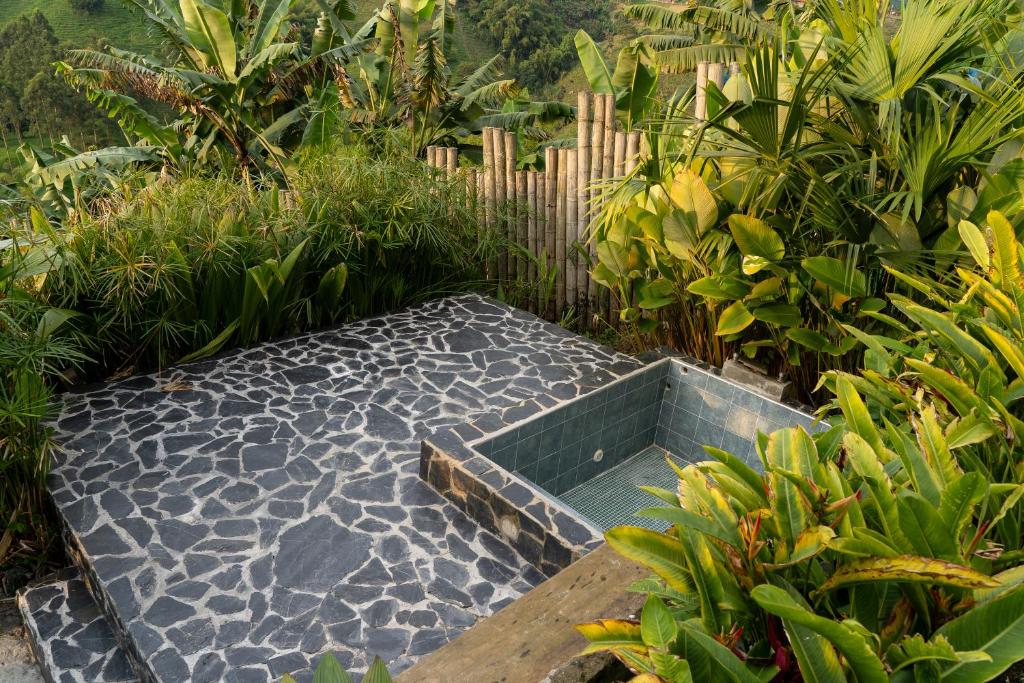 Eco Hotel Glamping El Silencio - 2