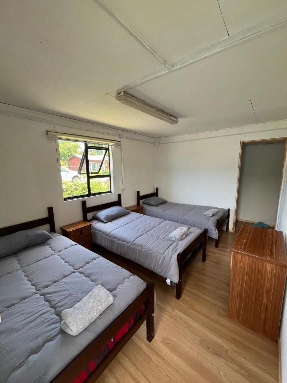 Central Apartment - 1