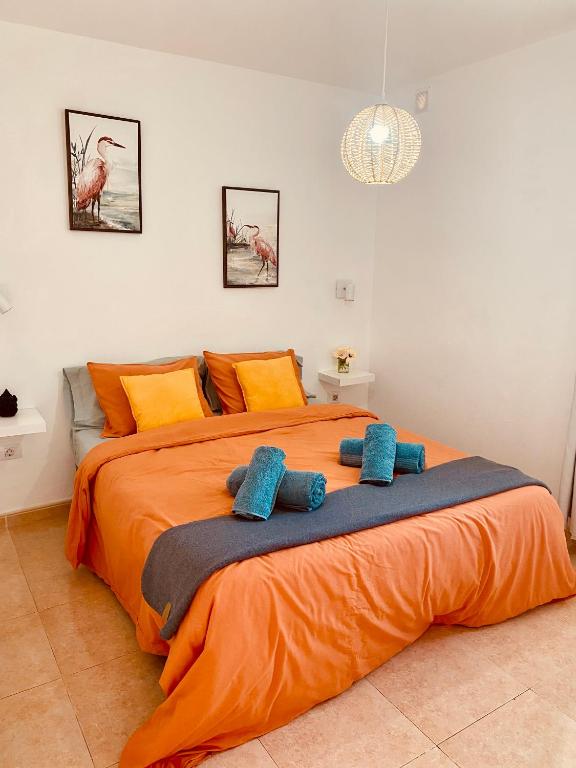 Oasis Home - 2