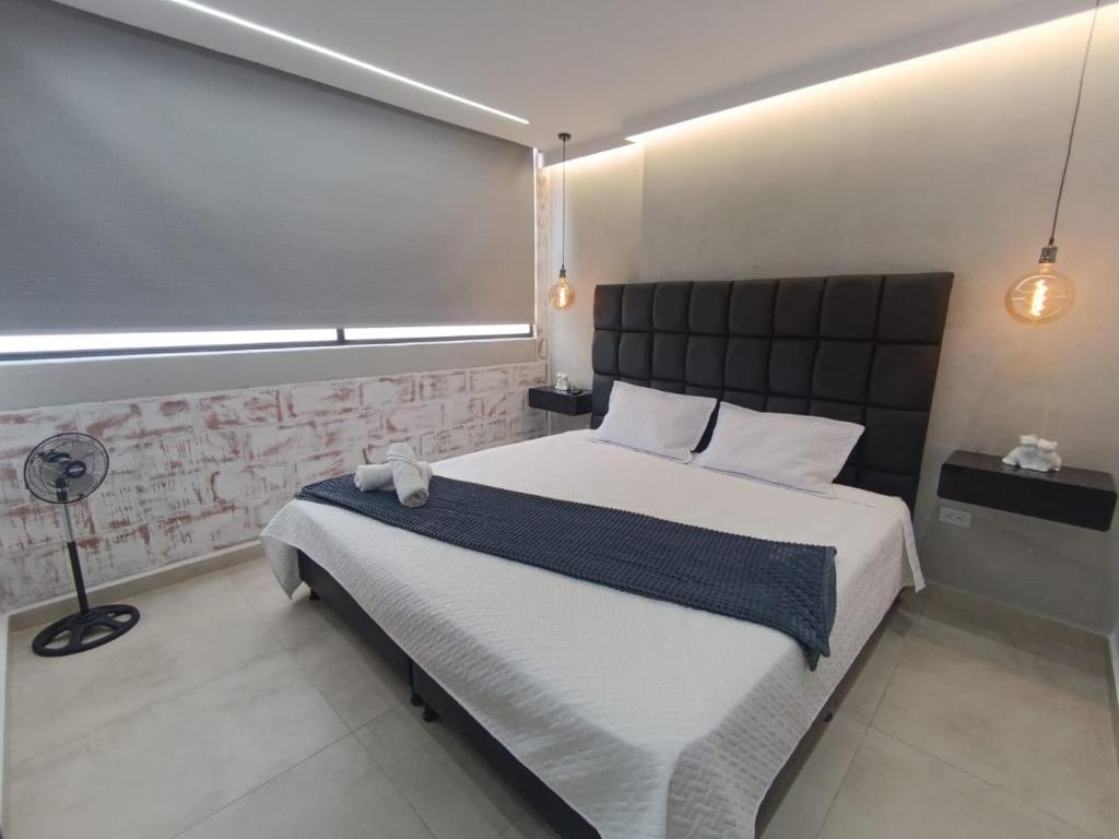 Loftgo laureles - 4