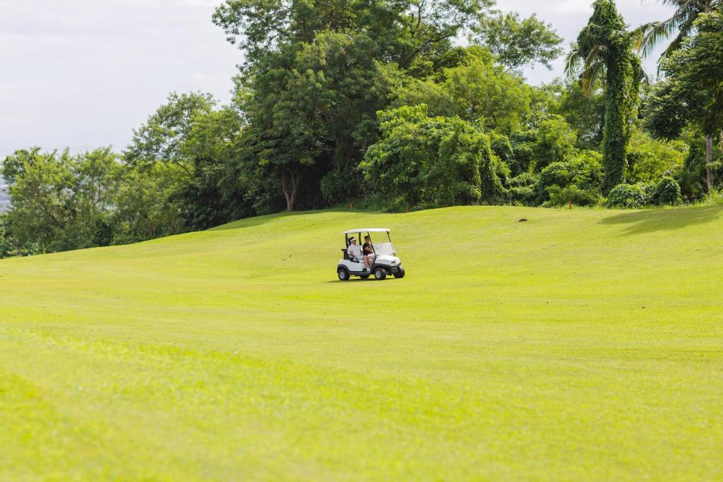 Golf course [on-site]