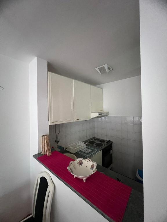 Apartmani Vrnjacka Banja 7 - 4