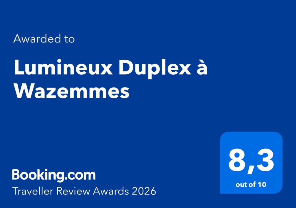 Lumineux Duplex à Wazemmes - 2