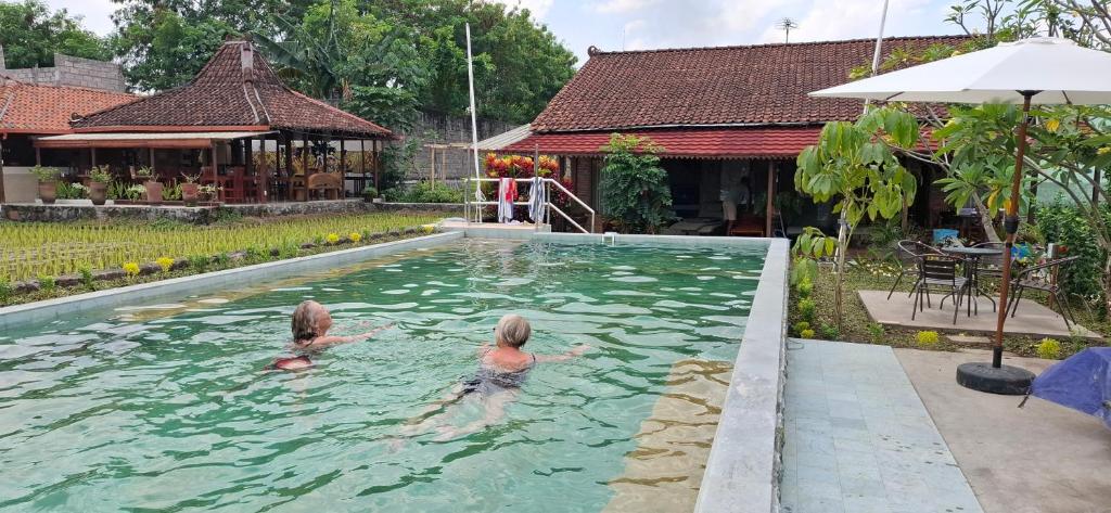 スイミングプール