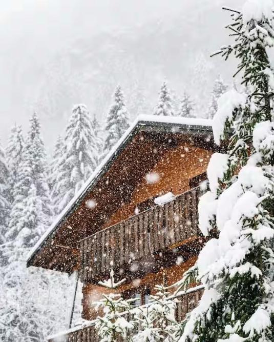 Spacious comfortable chalet close to the ski lifts for 8 persons - 1