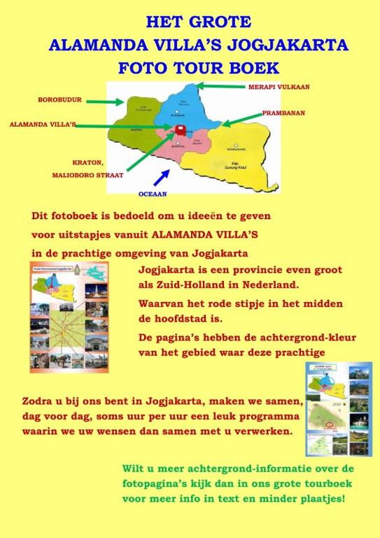 アクティビティ