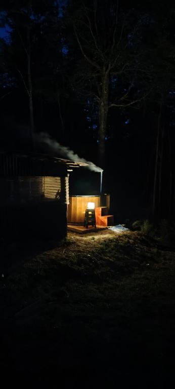 3D2B Casa, Tinaja, Bosque Nativo, Estero - 4