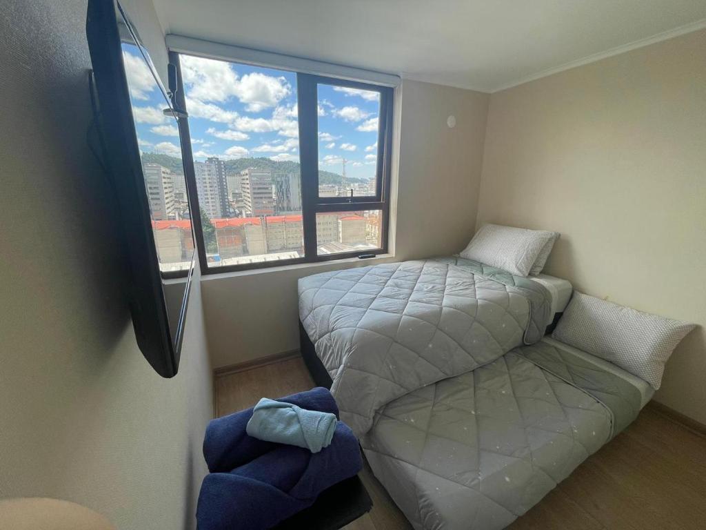 Quédate en el corazón de Temuco - 2