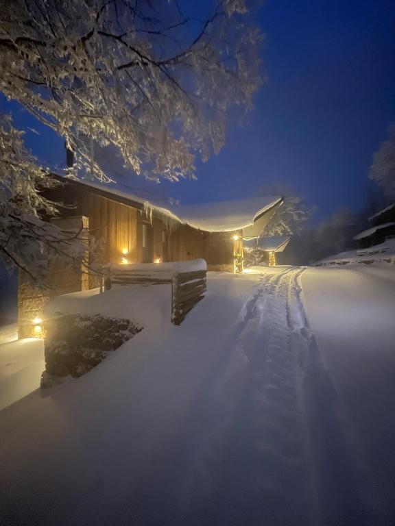 HUS 9 - Ski In Ski Out Cabin overlooking Lanin - 2