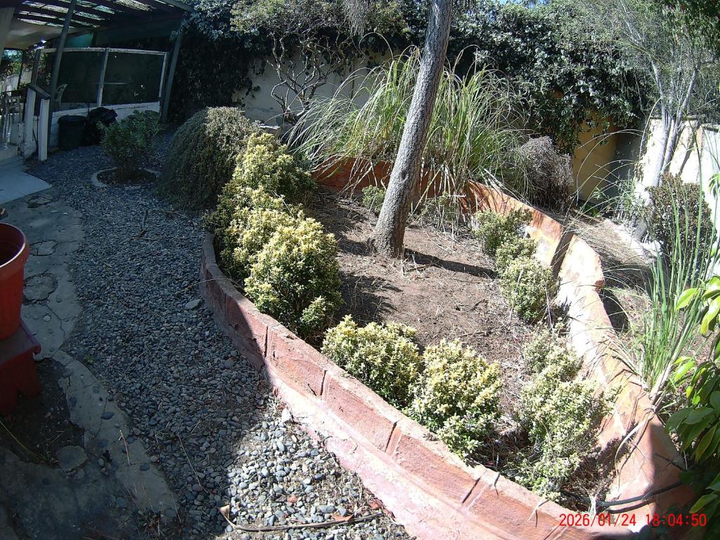 Casa algarrobo mirasol - 4