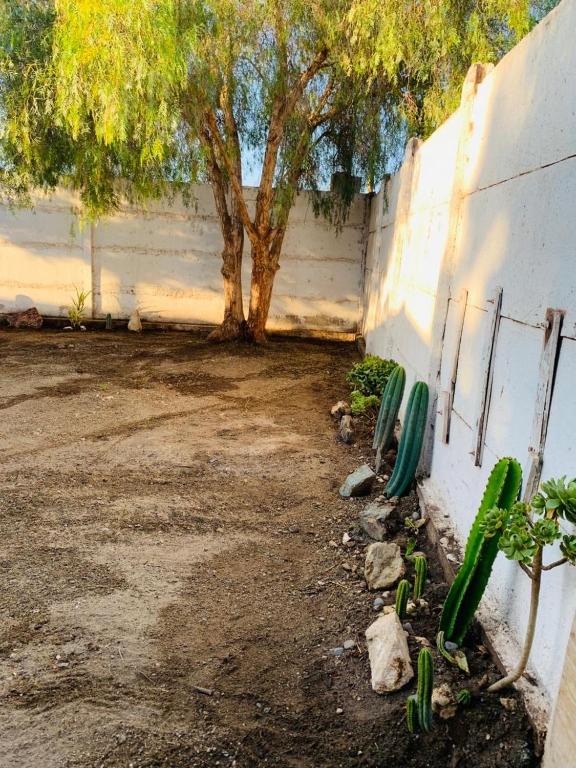 Habitación a 10 minutos de Ovalle o Punitaqui - 3