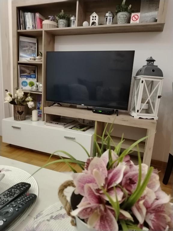Apartman Harmonija Vrnjačka Banja - 3