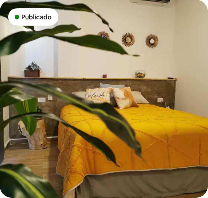 MaaR Estudios 5, a 2 cuadras del Malecón de La Paz - 3